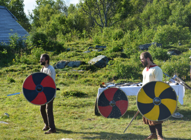 Viking fighters