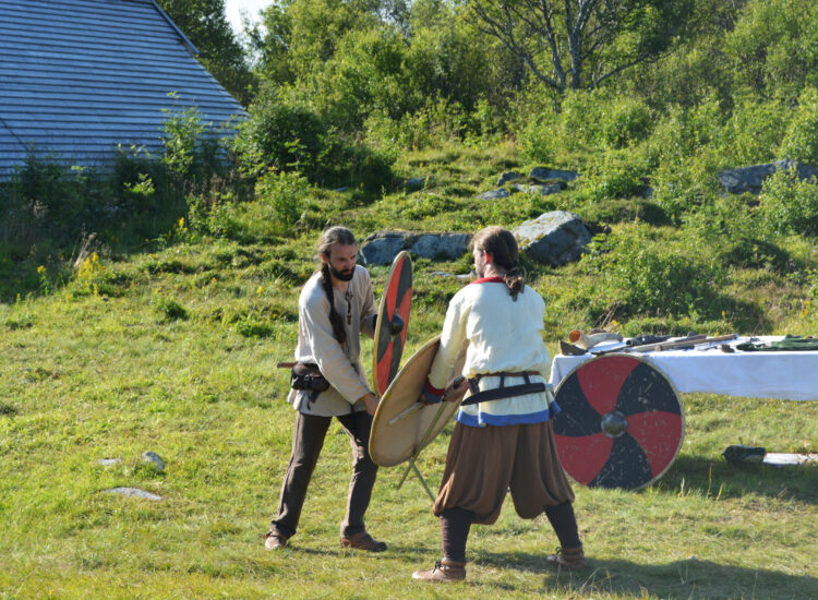 Vikingkrigere