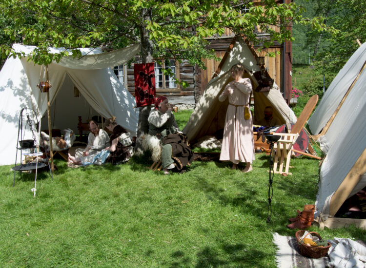 Vikings at their tents