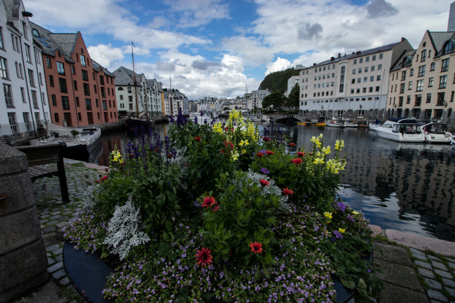 Ålesund by - Blomster