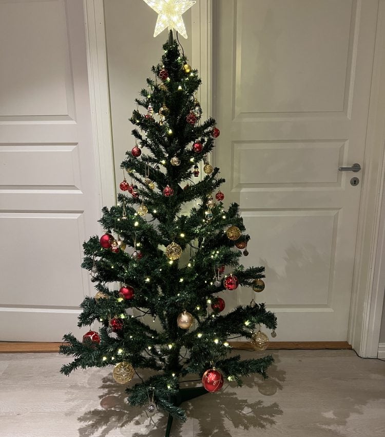Christmas / Yule tree 2021