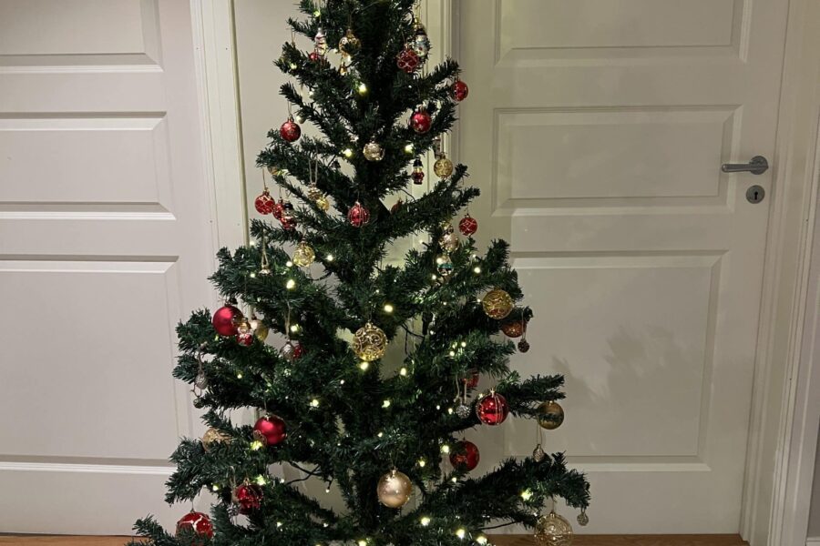 Christmas / Yule tree 2021