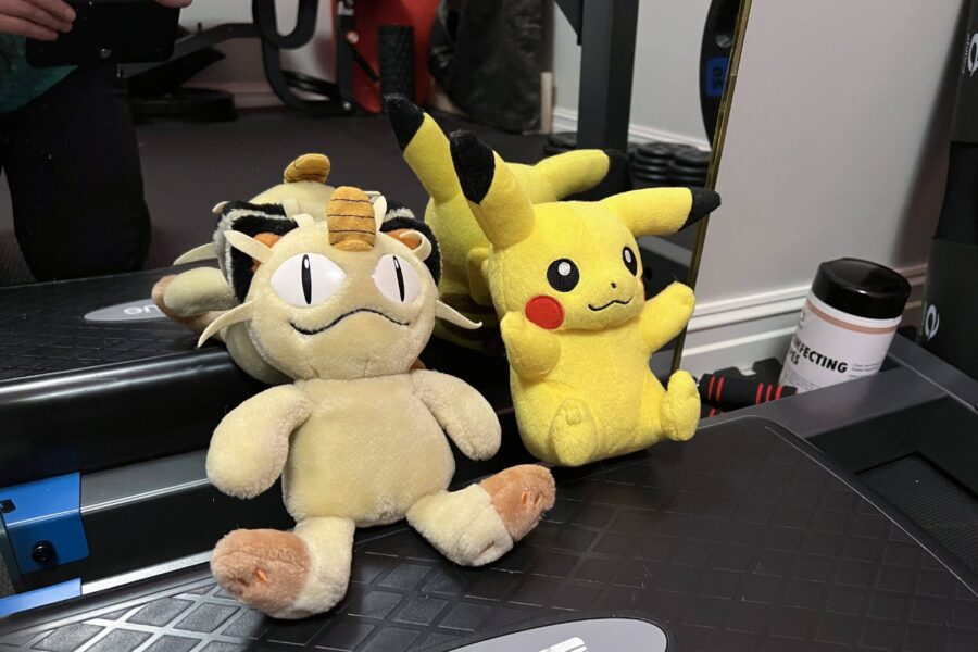 Mine treningsvenner, Meowth og Pikachu
