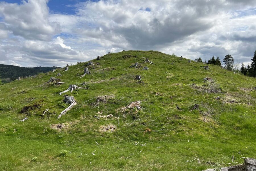 Big Viking grave / mound