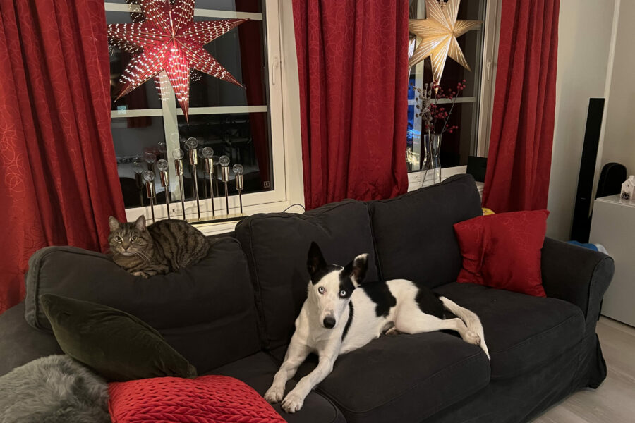 Cassie og Vira på sofaen med juledekorasjon bak seg