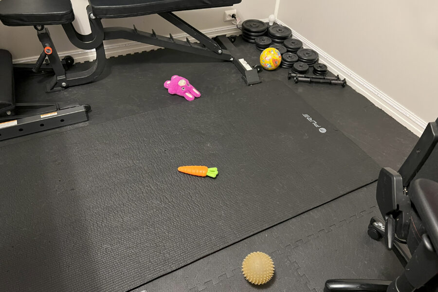 Cassie has collected all her toys and put them in the exercise room