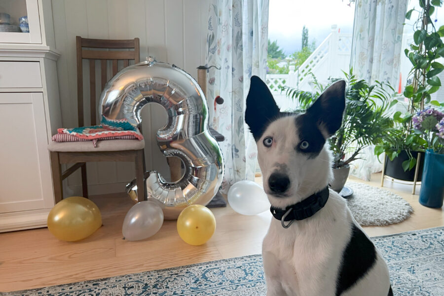 Cassie and baloons on her 3rd birthday