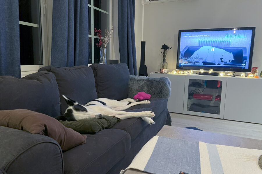 Cassie ligger på sofaen og sover, på samme måte som hunden på TV-skjermen