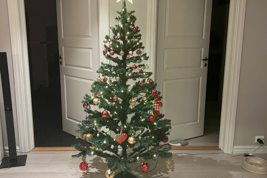 The christmas tree of 2023