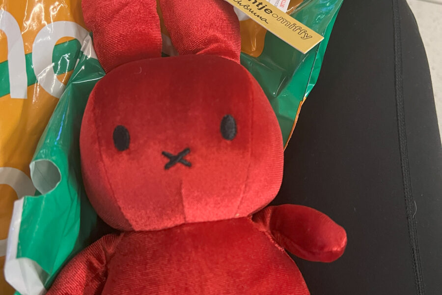 A cute, red toy i found in Amsterdam