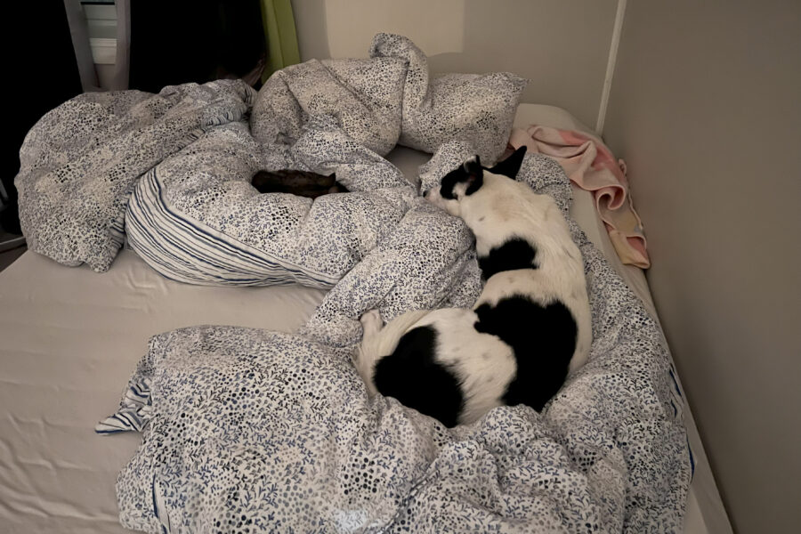 Cassie og Vira i sengen på hver sin side.