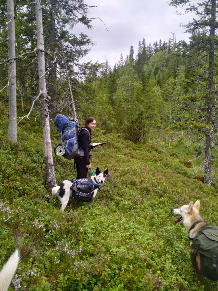 På tur med veninnen min og hundene.