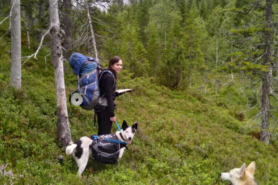 On a hike with my friend and the dogs.