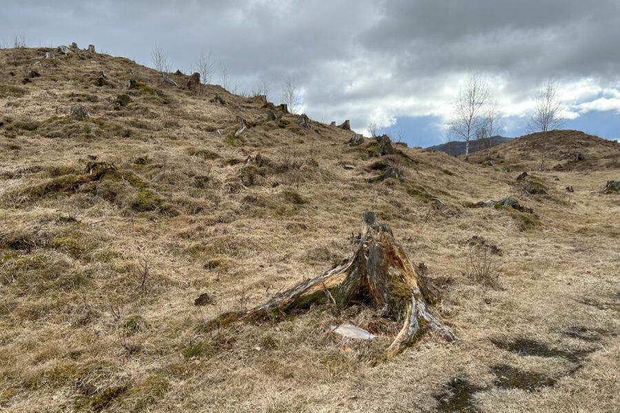 Viking graves