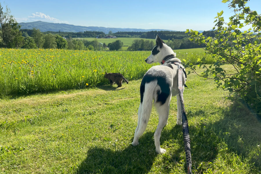 Cassie and Vira is together outdoors