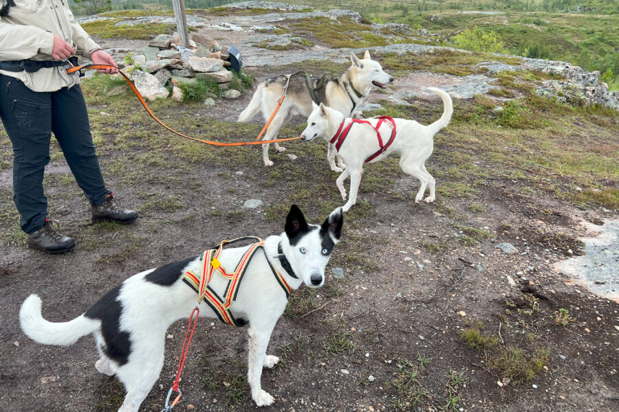 Cassie and her friends on a hike.