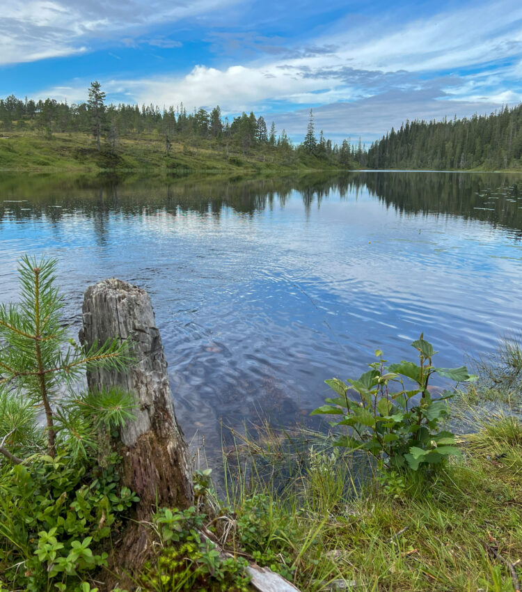 Image of a still lake.