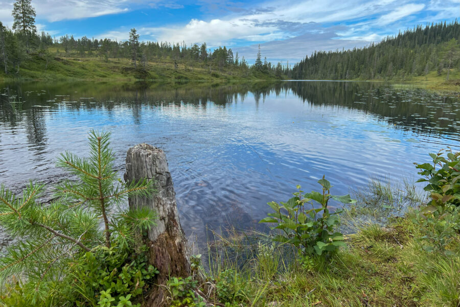 Image of a still lake.