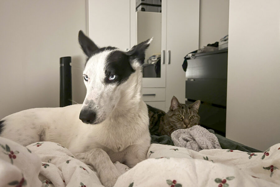 Cassie and Vira is lying close together in the bed.